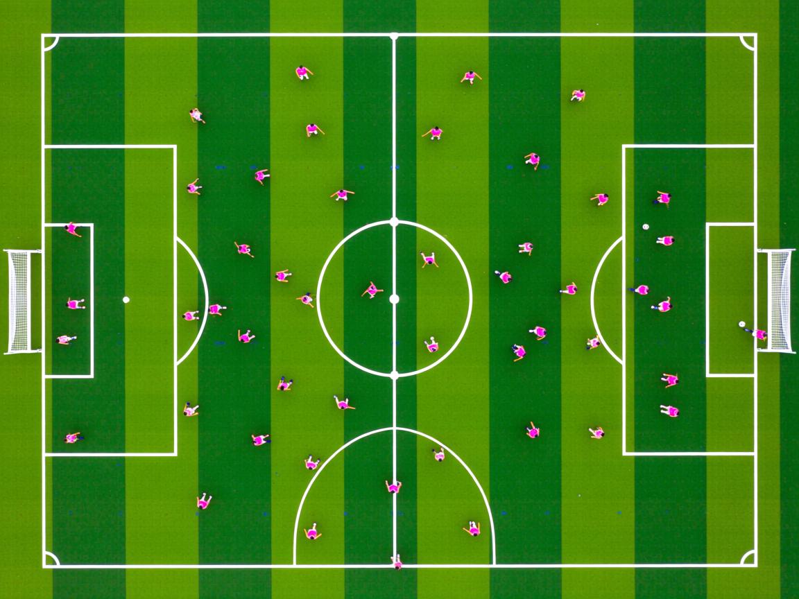 开云官方网-CBA赛季赛事高潮迭起，cba 赛季  第3张