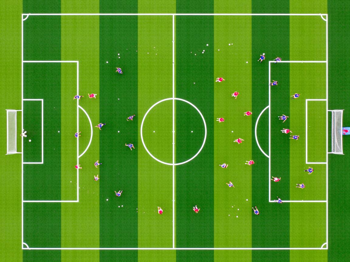 开云体育下载-埃弗顿中场保护能力增强稳定后防线，埃弗顿新主场